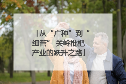 从“广种”到“细管” 关岭枇杷产业的跃升之路